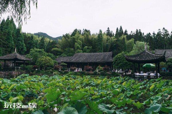 浙江文成县属于哪个市管辖范围(温州市文成县有多少人口)-图片4
